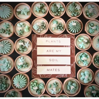 Mini Potted Succulent Candles (price is for 1 candle)
